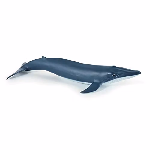 Papo Blue Whale Figure from the Marine Life Collection in Blue and Multicolour