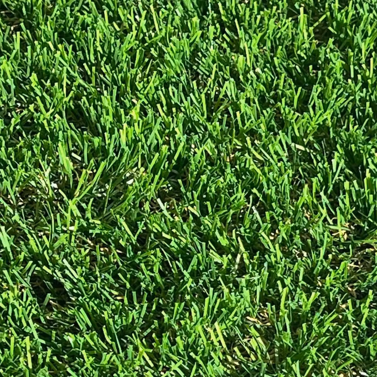 Fairhaven 38mm Artificial Grass in Green, W: 400 cm, L: 700 cm – 4