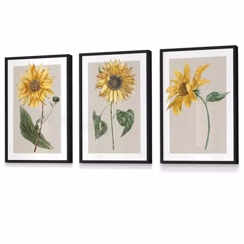ARTZE Set of 3 Vintage Sunflower Floral Wall Art Posters in Black Frames, Yellow and Beige, W: 45 cm, H: 62 cm, D: 2 cm – 2