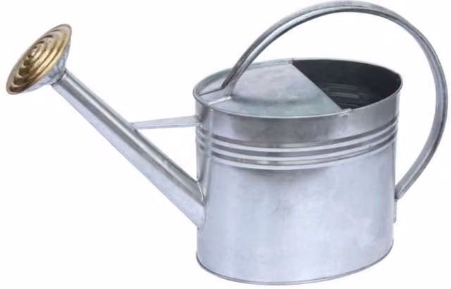 Ambassador Oval Galvanised Steel Watering Can in Silver with Brass Rose – 1