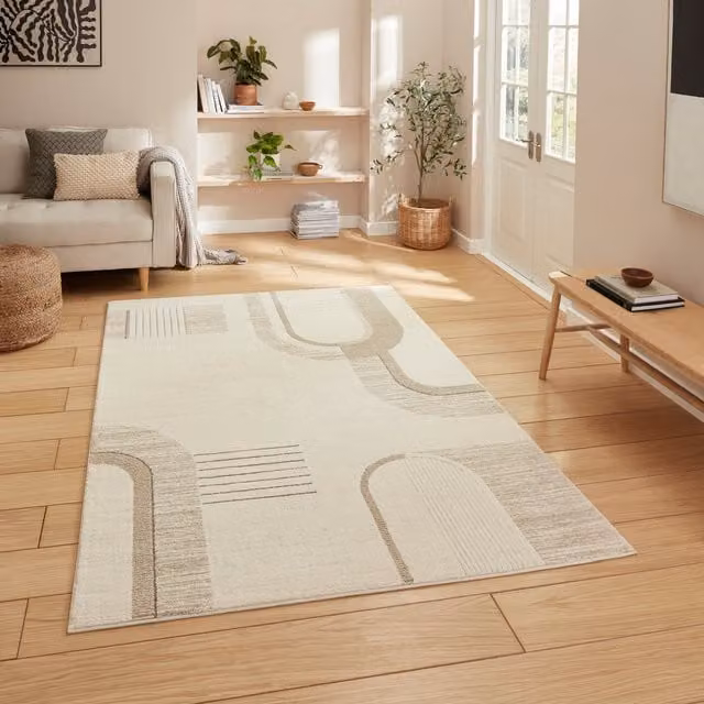 Terrys Modern Abstract Beige Rectangular Machine Woven Rug with High-Low Effect