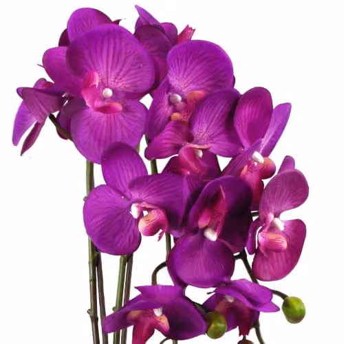 Leaf Design UK Realistic Artificial Orchid Flower Display in Gold and Purple Pot – 2