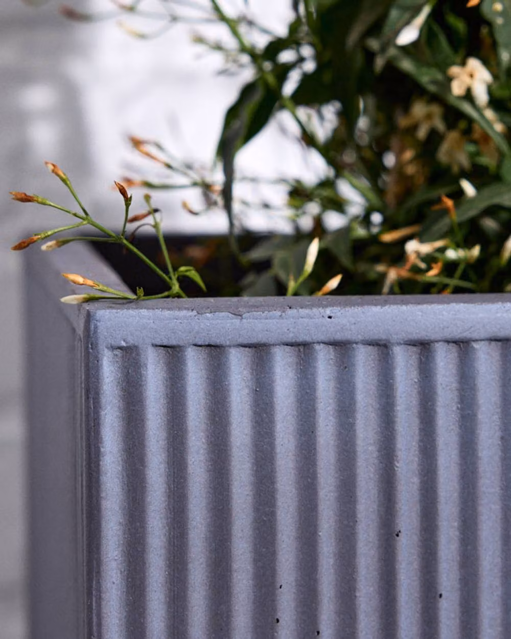 Dibor Small Slate Grey Ribbed Fibre Clay Indoor Outdoor Garden Plant Pot, H 25 cm x W 25 cm – 3