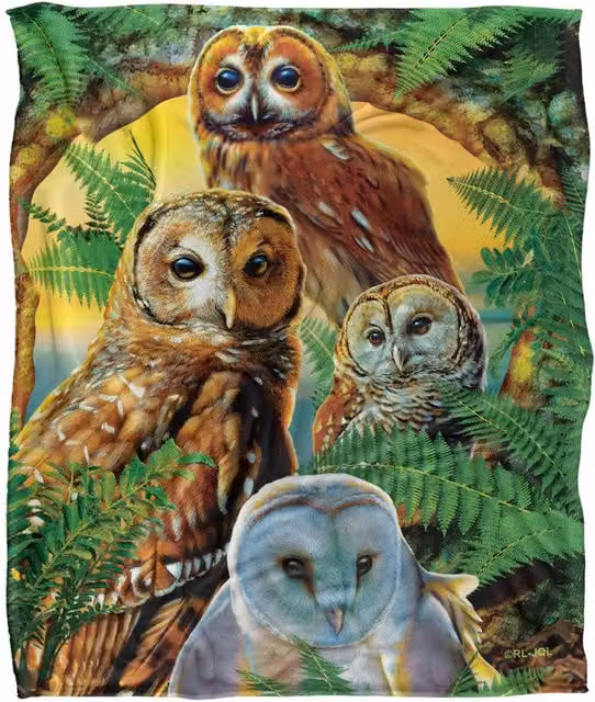 JQ Licensing Owl Collage Silky Touch Super Soft Fleece Throw Blanket, Multicolour, W/D/H: 152 x 127 cm – 5