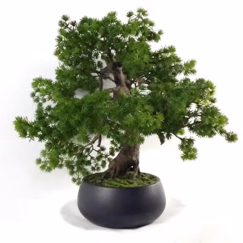 Leaf Design UK Green Artificial Tabletop Bonsai Tree in Ceramic Pot – 1