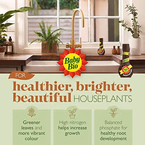 Baby Bio Houseplant Food Liquid Plant Tonic, 175 ml, Black – 3