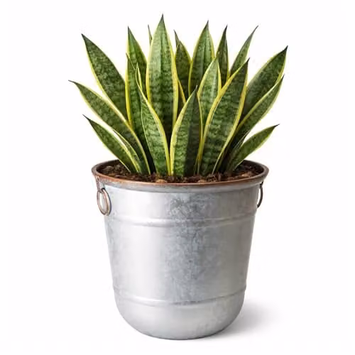 Jack Stonehouse JSH Silver Galvanised Steel and Copper Rim Effect 32L Bucket Planter made from Recycled Plastic – 1