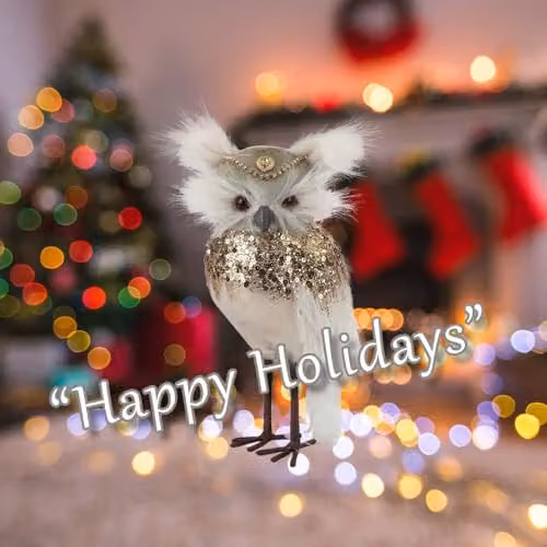 VFM e-Store Christmas Velvet Owl Tabletop Decoration, Green and White, H 23 cm x W 15 cm – 3
