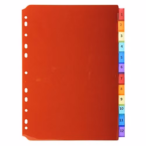 Exacompta Translucent Plastic A4 Dividers with 12 Blank Tabs in Multicolour