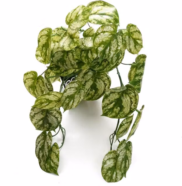 Leaf Artificial Hanging Green Plant, 35 cm