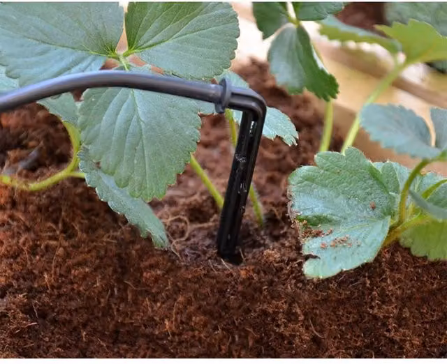Palram Drip Irrigation Kit in Black with Tubing, Emitters, Connectors and Filter – 1