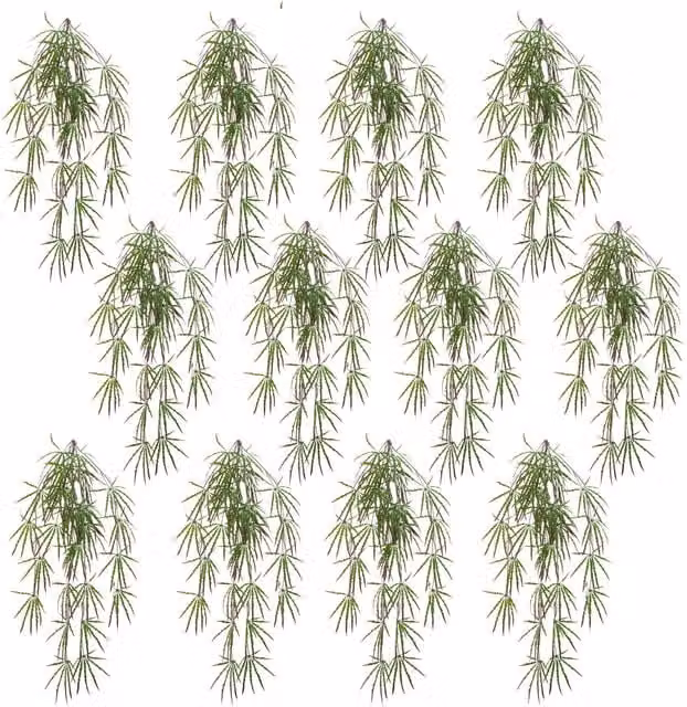 Leaf Pack of 12 Green Artificial Hanging Acer Spider Plants