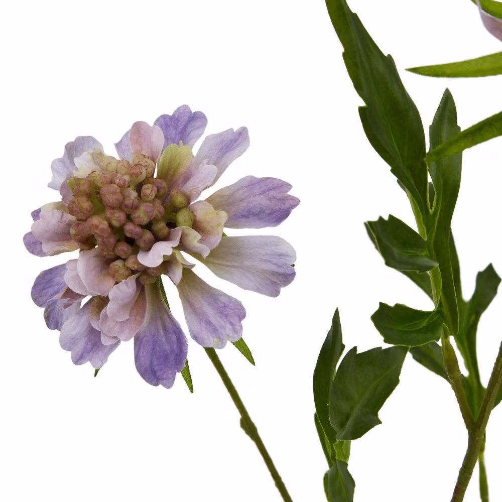 Hill Interiors Natural Garden Collection Scabious Stem Artificial Plant in Purple, Height: 65 cm – 2