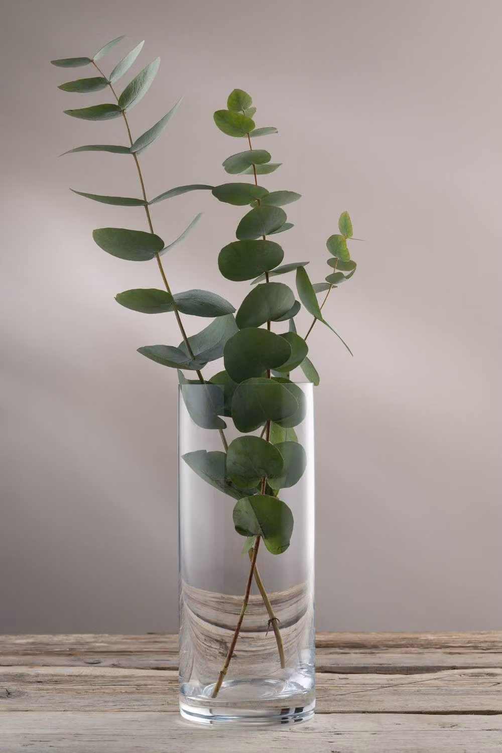 Galway Crystal Pillar Vase in Clear Glass, Height: 25.4 cm – 2