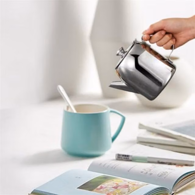 Kitchen Gizmos Stainless Steel Teapot with Flip Lid in Silver