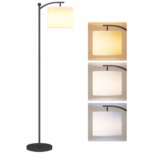 HOMCOM LED Floor Lamp in Black with Stepless Dimming, Remote Control and Timer – 1