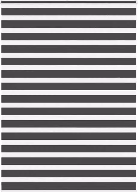 Berkfield Home Black Zebra Day and Night Blind in Polyester, W: 160 cm, H: 230 cm – 1
