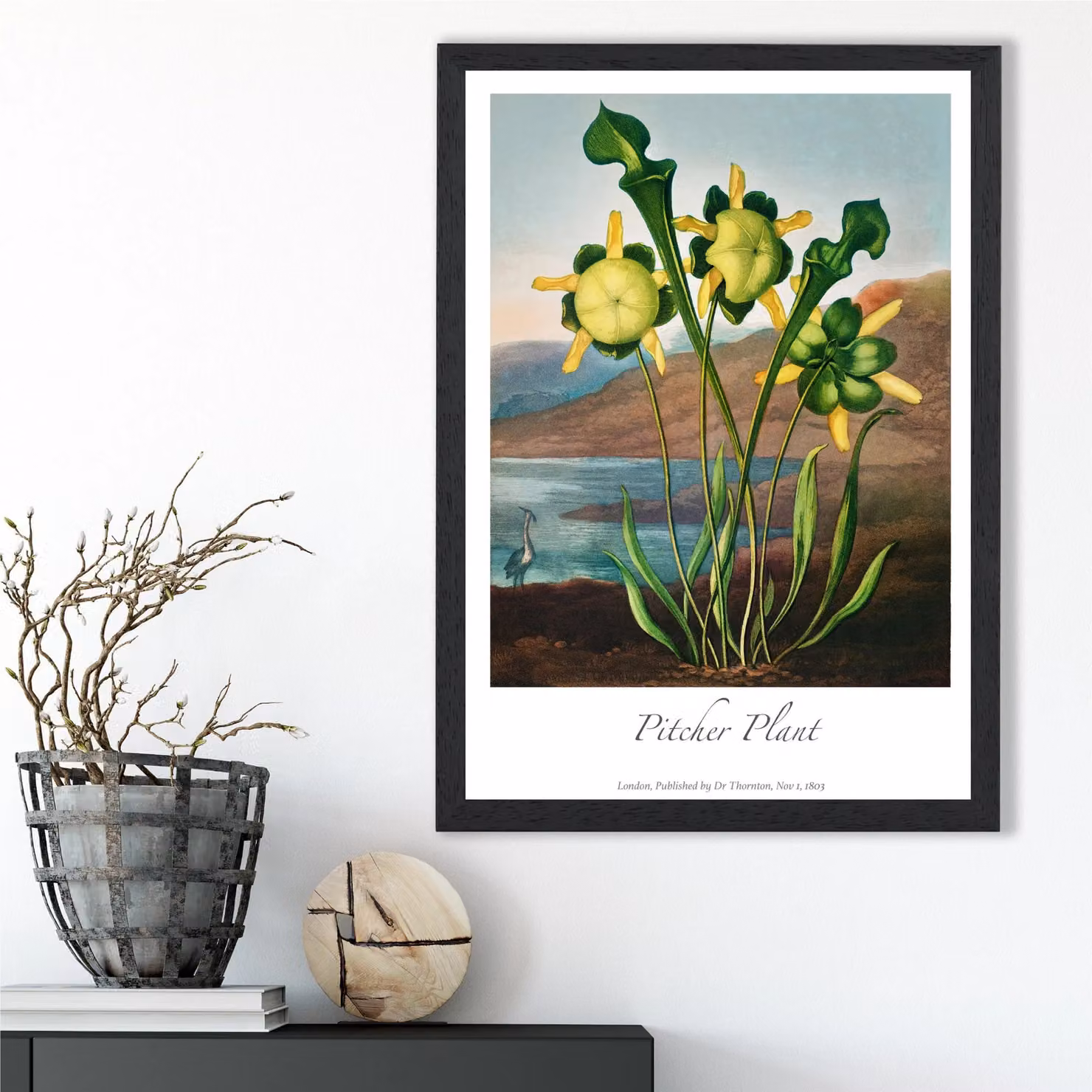 ARTZE Vintage Floral Pitcher Plant Framed Paper Poster, Yellow and Black, A4 – 2