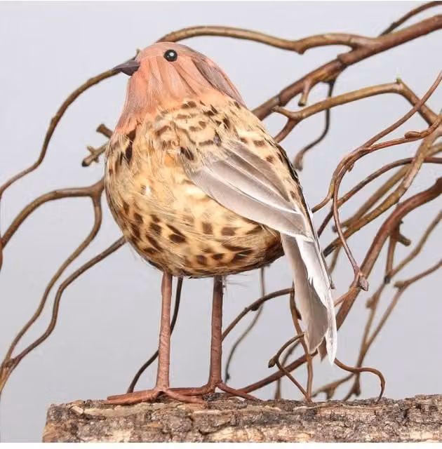 KDMD Brown Ornamental Thrush Bird Hanging Christmas Ornament