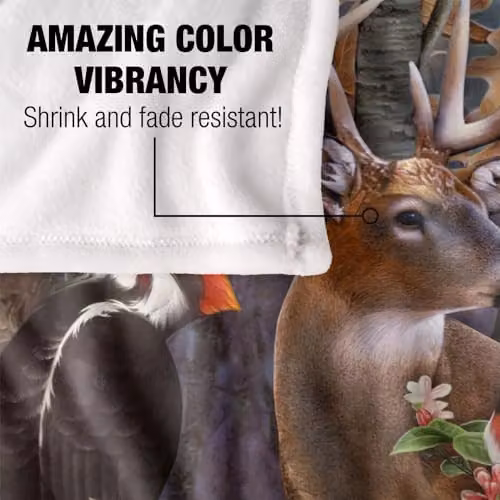 JQ Licensing Forest Animals Silky Touch Super Soft Fleece Throw Blanket, Multicolour, W: 152 cm, D: 127 cm – 3