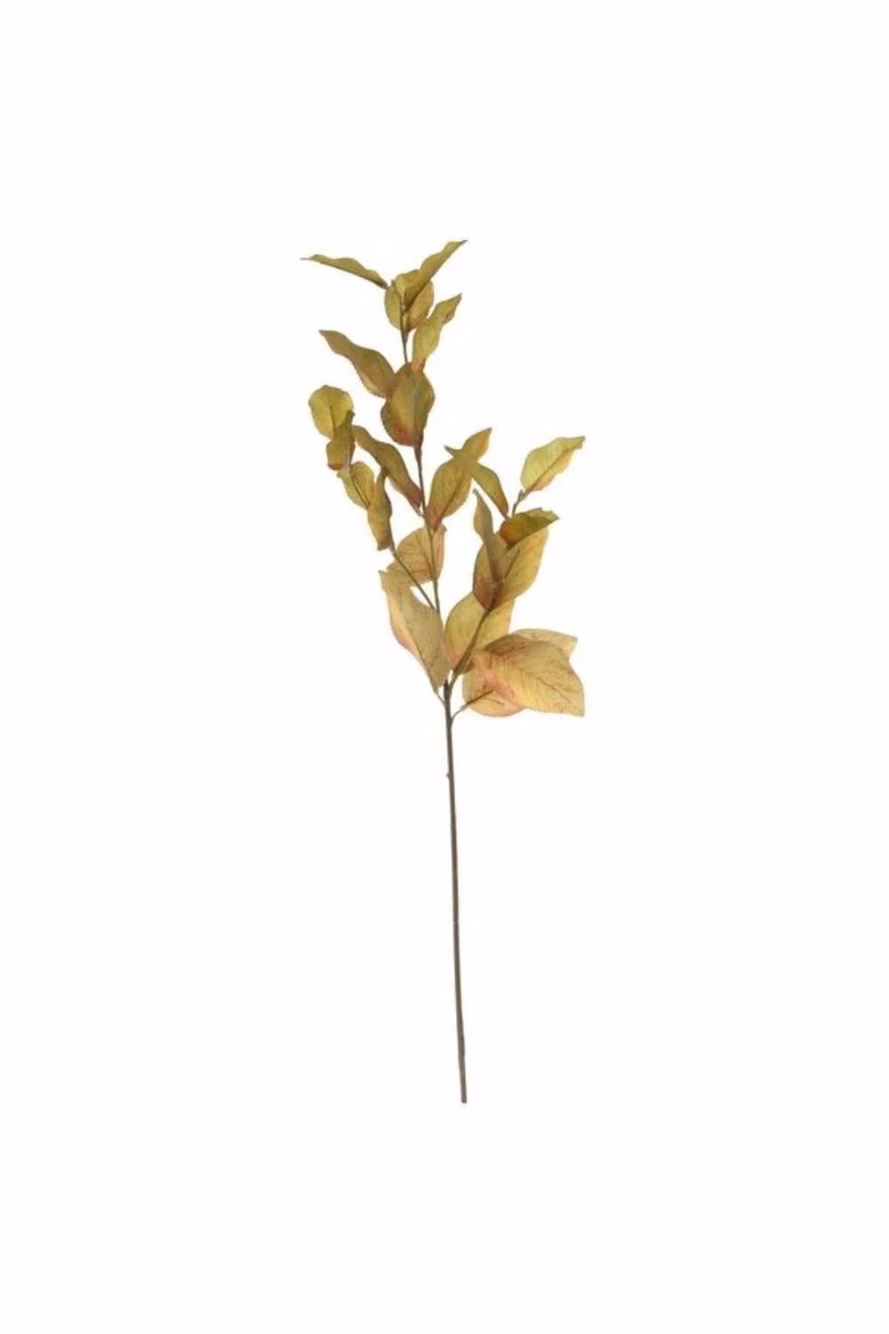 KDMD Glamis Lemon Spray in Green and Brown, Height: 74 cm