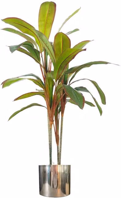 Artificial Green Dracaena Tropical Potted Plant with Silver Metal Planter