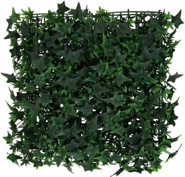 KDMD Green Exterior Ivy Wall, W x H: 50 x 50 cm – 1