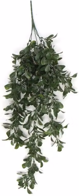 Green Artificial Peperomia Hanging Plant, UV and Fire Resistant, Height: 68 cm, Width: 10 cm