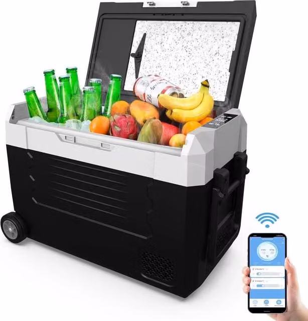 FLAVORA 55L Electric Compressor Car Refrigerator in Black