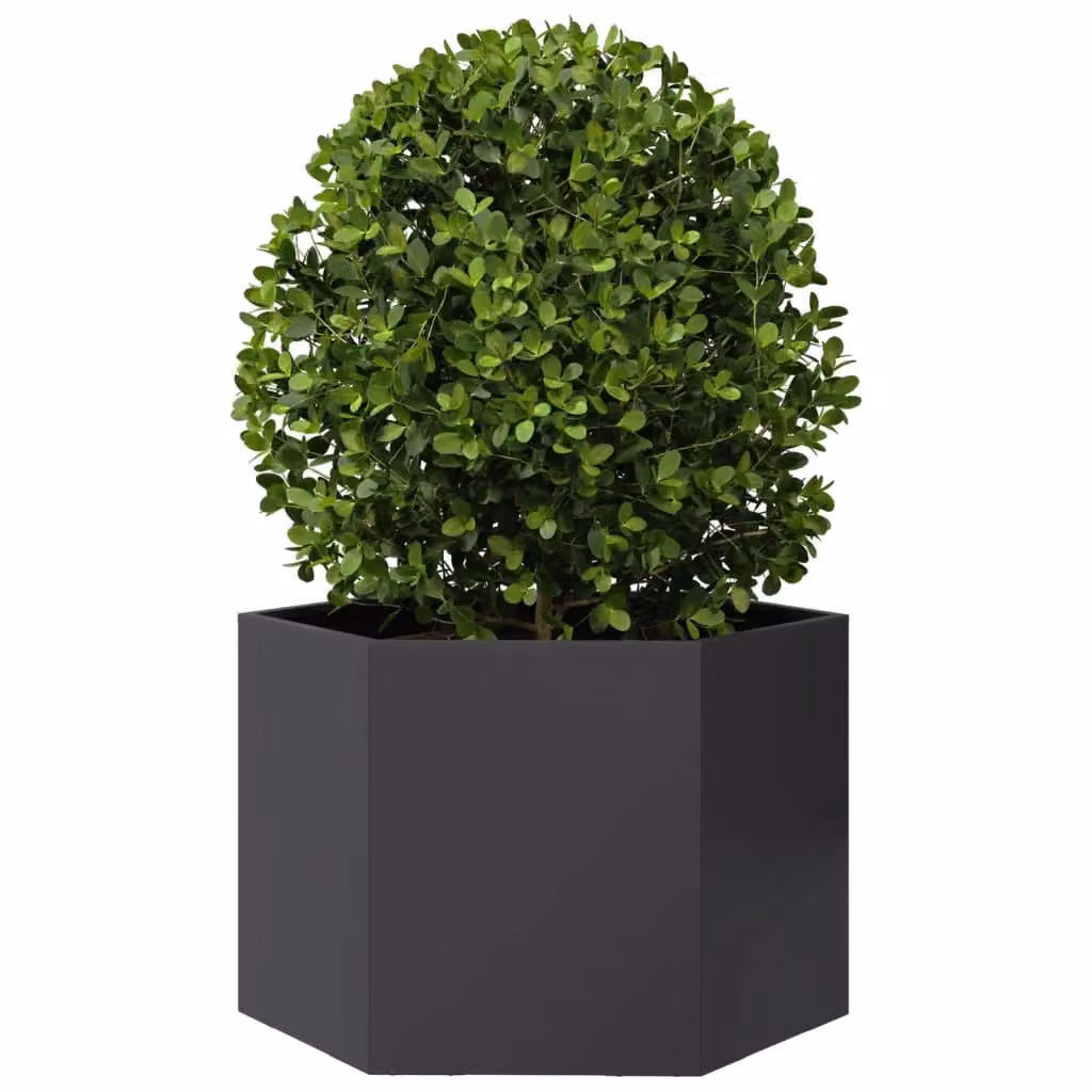 Berkfield Black Hexagon Steel Garden Planter W: 69 cm, D: 60 cm, H: 45 cm – 3