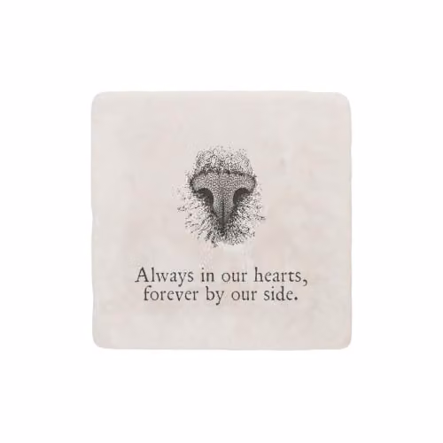 Purely Home Long-Nosed Cat Marble Coaster Gift Box in Black and White – 3