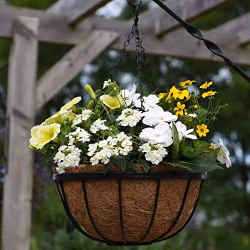 Thompson & Morgan Black Metal Hanging Basket Frames and Coconut Husk Liners for Trailing Plants, Diameter: 30 cm, Pack of 2 – 4