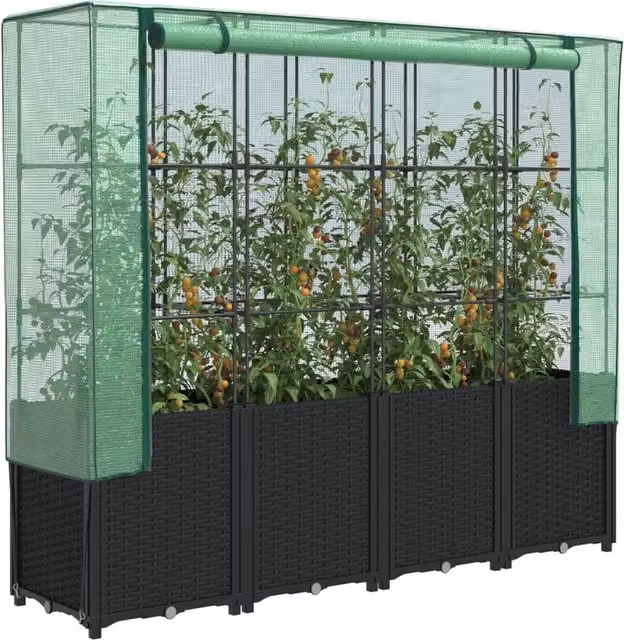 Berkfield Home Raised Bed with Greenhouse Cover in Black Rattan Look, W/D/H: 160 x 40 x 153 cm – 1