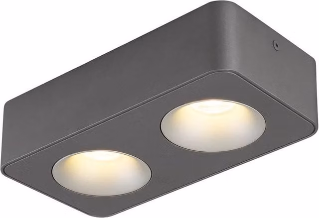 Netlighting Hangarau Twin LED Ceiling Spotlight in Grey with Warm White 3000K Light