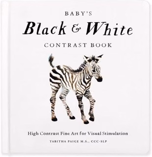 Tabitha Paige Baby's Black and White Contrast Board Book