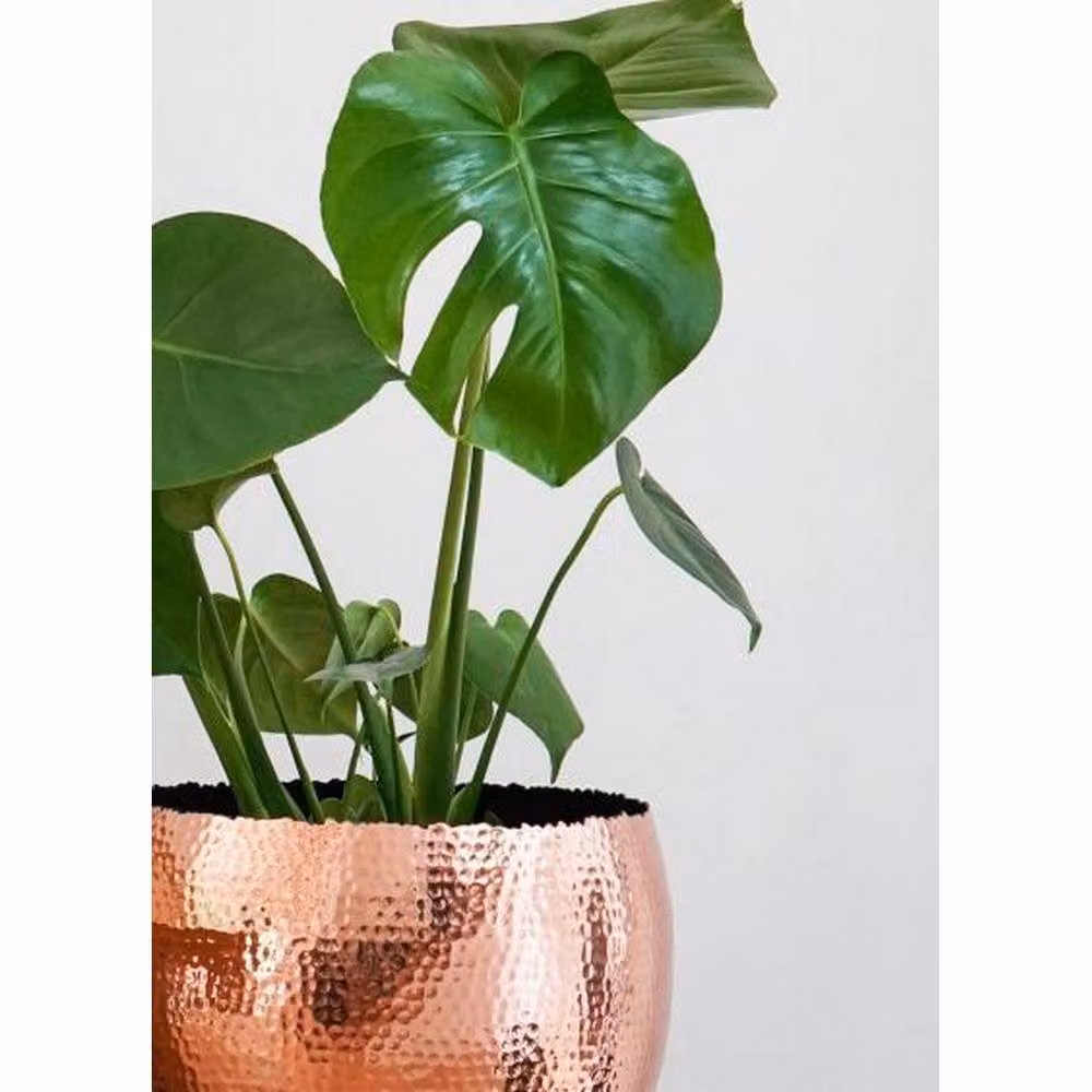 Lemon Pavilion Hammered Metal Bowl in Copper and Black, W: 30 cm, D: 30 cm, H: 21 cm – 2