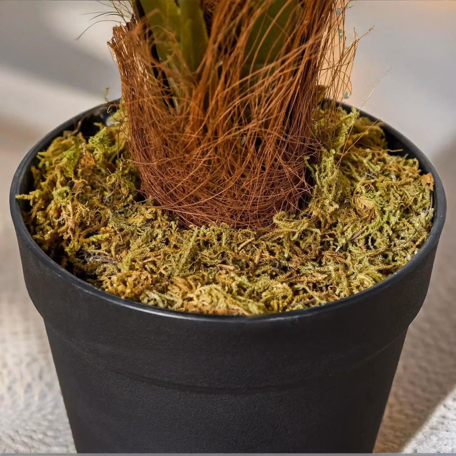 FURNOS Green Artificial Potted Palm Plant, Height: 60 cm – 2