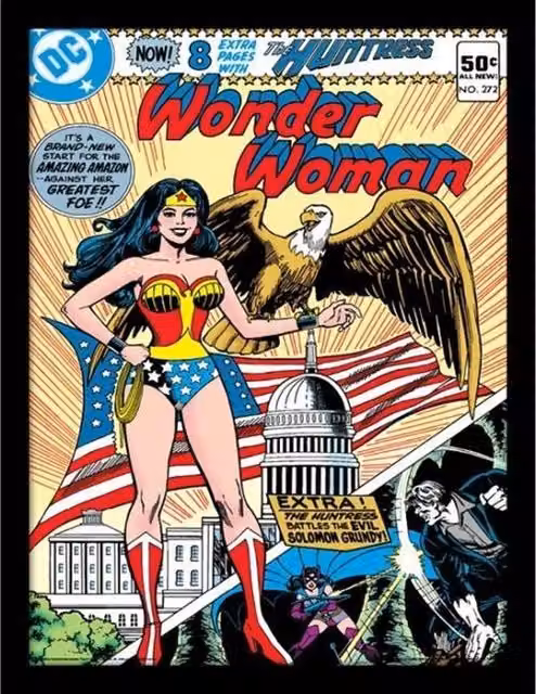 Wonder Woman Eagle Print Multicolour Paper Poster Illustration
