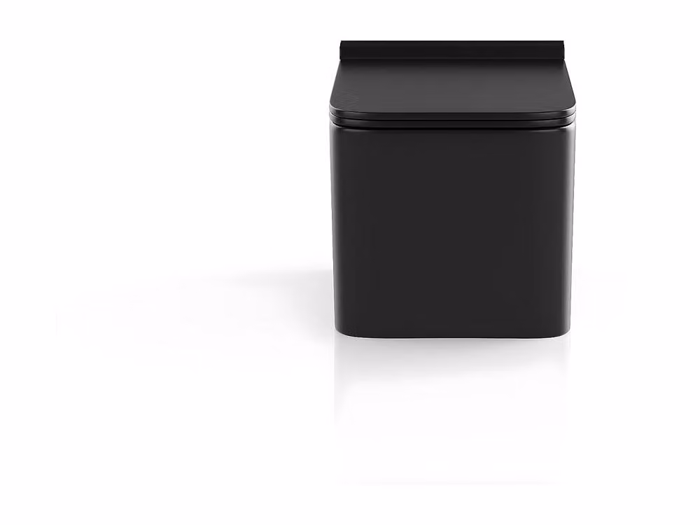 Vente-unique Clemona Rimless Wall-Hung Ceramic WC in Matt Black with Soft-Close Seat – 2