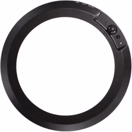PAWNORA Black Motion Sensor Ring Ceiling Light