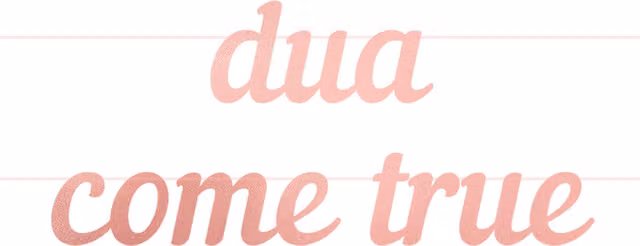 Peacock Supplies Dua Come True Pink Paper Letter Pennant Hanging Party Banner