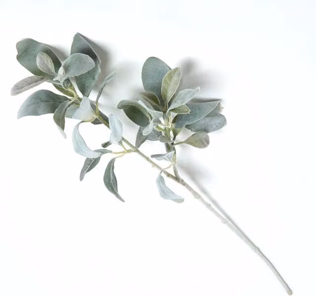 Homescapes Green Lambs Ear Foliage, Height: 70 cm
