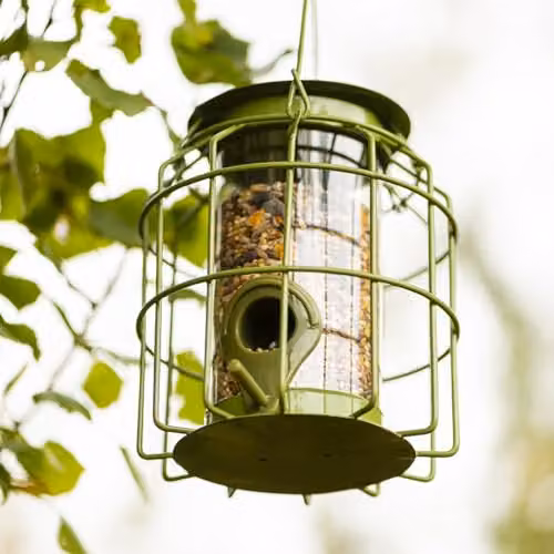 Happy Beaks Mini Squirrel Proof Metal Seed Feeder in Sage Green, W/D/H: 15.0 x 11.5 x 11.5 cm – 2