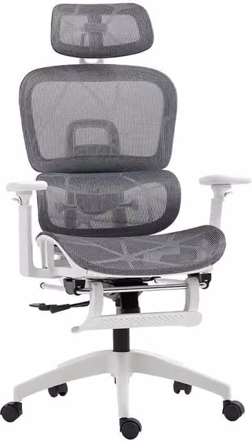 Rolipo Ergonomic Grey Mesh Office Chair with Headrest and Adjustable Seat Depth – 1