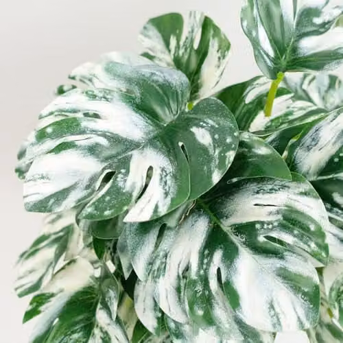 Leaf Design UK Artificial Potted Monstera Plant, Green, H 30 cm x W 30 cm x D 30 cm – 3