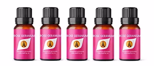 Aroma Energy Rose Geranium Pure Essential Oil, Pink, 5 x 10ml – 1