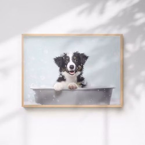 60 Second Makeover Collie In The Bath Quirky Animal Print Paper Poster, A3, Multicolour