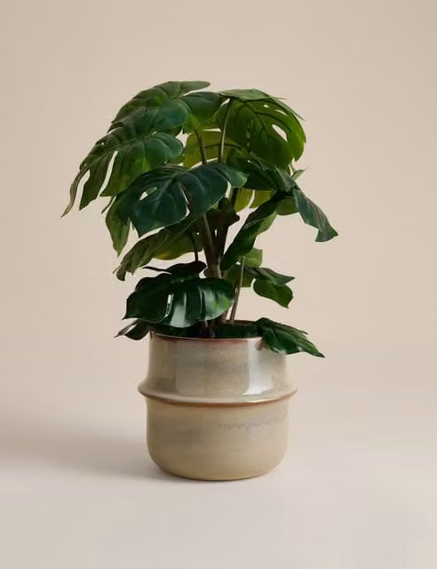 M&S Natural Green Artificial Monstera Plant in a Ceramic Pot