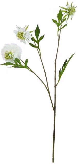 Hill Interiors Natural Garden Collection Scabious Stem Artificial Plant, White, Height: 65 cm