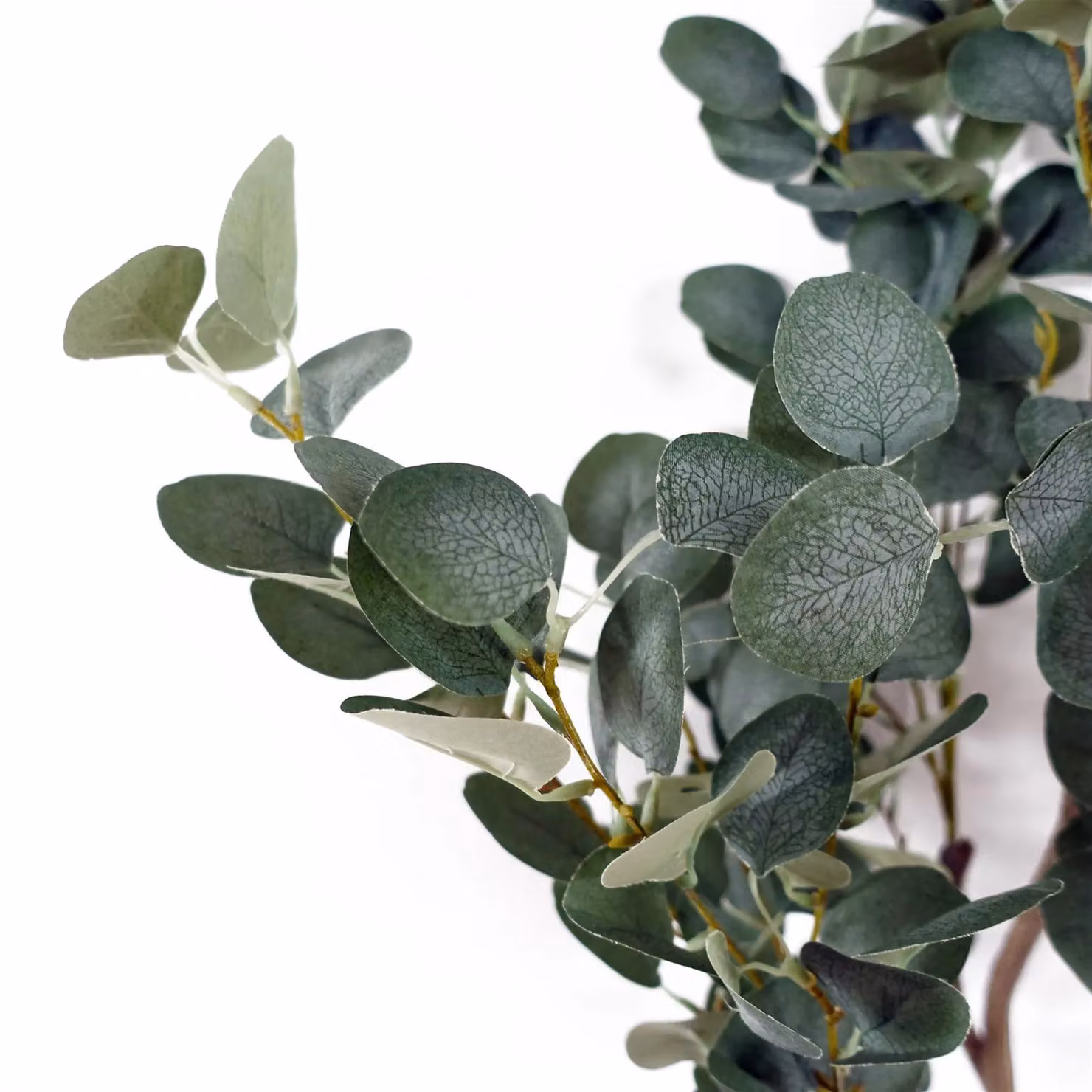 Botanik UK Leaf 150cm Premium Artificial Eucalyptus Tree in Green – 4